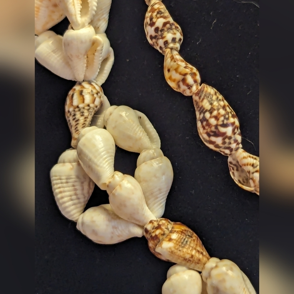 🐚 Necklace brown white 16" long. No clasp, can be doubled. Shells Surfing Beach - Picture 2 of 5
